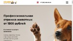 Golden Pets